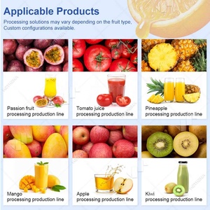Usine de production de jus de fruits, petite ligne de traitement de jus de fruits naturels, prix compétitif, à vendre - Product Image 6