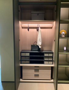 2025 populaire en bois massif intégré commode garde-robe personnalisation grand espace stockage chambre vestiaire Design - Product Image 6