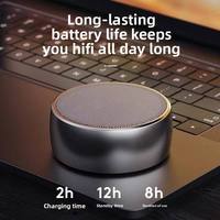 Haut-parleur BS01 en acier de haute qualité, petit format, avec subwoofer, batterie 500-1000 mAh, pour usage intérieur/extérieur – Vente Flash