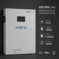 Batterie de stockage d'énergie domestique hybride 51,2 V 5,12 kWh 100 Ah murale LiFePO4 CAN pour système solaire et alimentation de secours