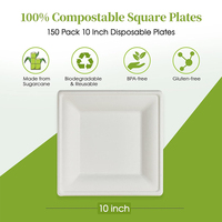 Vaisselle carrée en bagasse de canne à sucre biodégradable jetable de 10 pouces Assiette carrée en papier alimentaire compostable saine