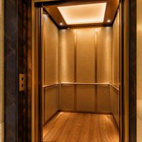 Ascenseur domestique pour villa à 2 étages, ascenseur résidentiel, cabine or champagne, ascenseur pour passagers avec éclairage LED au plafond