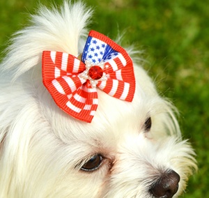 อุปกรณ์ตกแต่งขนสัตว์เลี้ยง<span class=keywords><strong>ส</strong></span>ีแดง ขาว น้ำเงิน <span class=keywords><strong>ส</strong></span>ำหรับวันประกาศอิ<span class=keywords><strong>ส</strong></span>รภาพ ขายดี โบว์ผูกผมยางยืดสำหรับสัตว์เลี้ยง วันที่ 4 กรกฎาคม อุปกรณ์เ<span class=keywords><strong>ส</strong></span>ริมสำหรับกรูมมิ่งสัตว์เลี้ยง - Product Image 6