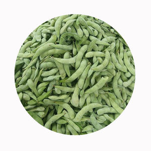 Soja vert congelé IQF en dosettes edamame au meilleur prix - Product Image 3