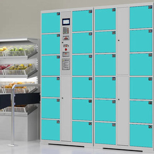 Casier de livraison de colis intelligent électronique multi-portes en métal moderne, personnalisable, pour extérieur, avec stockage numérique intelligent - Product Image 6