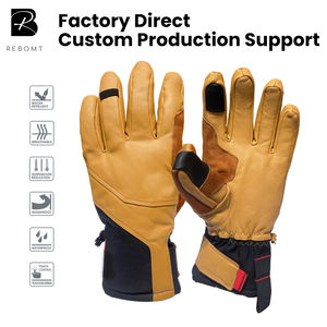 Guantes de Esquí Unisex Personalizados de Fábrica, Impermeables, con Dedos Separados, OEM, Cálidos, con Contraste de Color, 80% Cuero, Pantalla Táctil, para Invierno - Product Image 1