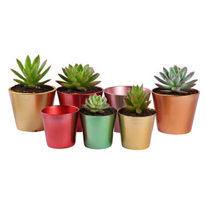 Mini jardinière en métal couleur bonbon Pots décoratifs pour jardin <span class=keywords><strong>Cadeau</strong></span> <span class=keywords><strong>de</strong></span> Noël pour petites plantes succulentes et fleurs - Product Image 1