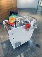 Chariot de glace mobile électrique Miles 2 saveurs tout en un magasin de produits servir et afficher la crème glacée fraîche Gelato
