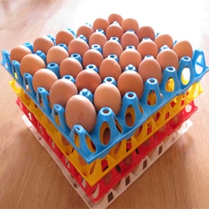 بالجملة صينية بيض الدجاج البلاستيكية عالية الجودة 30 حفرة صينية نقل بلاستيكية لبيض الدجاج الموردين - Product Image 1