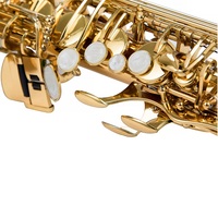 Factory Direct Sales of Professional Advanced Woodwind Instruments Saxophone