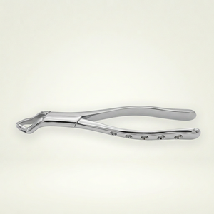 Forceps d'extraction dentaire pour molaire gauche maxillaire, en acier inoxydable poli, réutilisable, type bec de corne de vache - Product Image 1