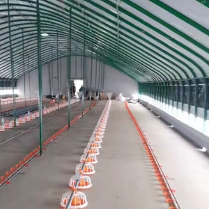 Tamaño personalizado 5-6 <span class=keywords><strong>Parrilla</strong></span> PP Plástico Pollo <span class=keywords><strong>Gallo</strong></span> Alimentador Pan Equipo de aves de corral para comederos de animales - Product Image 3