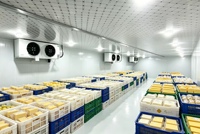 Koelopslag voor fruit- en groentehuisvesting, mobiel, draagbaar, Dubai, eieren, mobiele minikoelcel