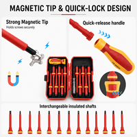Kit d'outils isolants 13 pièces, tournevis à embout magnétique, lames interchangeables, 1000V, manuel, pour réparation domestique, étui rigide, OEM