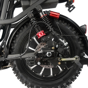 DY-FREE Khác Nhau Sửa Chữa Xe Đạp Điện 16 Inch Dành Cho Người Lớn Giao Hàng Xe Đạp Điện Xe Đạp Điện Đầy Đủ Kit - Product Image 3