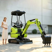 Mini-excavatrice avec moteur diesel Laidong, 2 tonnes, leviers fluides, lampe de protection pour projets de location, entrepreneurs et particuliers