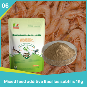 養殖用の混合飼料添加物Bacillus Subtilis | 消化と免疫力を高める | 魚とエビのための高品質のプロバイオティクス - Product Image 3
