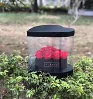 Boîte d'emballage de fleurs pliable en forme de cœur pour la Saint-Valentin, de haute qualité, faible MOQ, avec fenêtre transparente en PVC, en stock