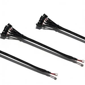 تجميعة أسلاك السيارات المخصصة مع أسلاك مجدولة متعددة الألوان وموصلات بلاستيكية، تجميعة كابلات دوبونت 2.54 - Product Image 4