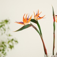 Fleur artificielle réaliste « Paradis des oiseaux » pour mariage, décoration intérieure, arrangement floral