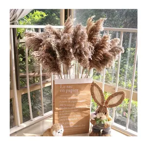 Venda por atacado de grama seca natural de pampas, grande flor decorativa para casamento, grama de pampas macia 150cm