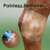 Pansement transparent auto-adhésif en hydrogel pour chevaux