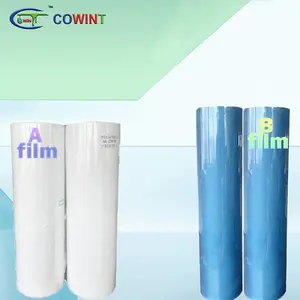 Cowint Hot Sell Film Is Para Ventanas Protector Ab Film Para Ventanas Protector Uv Transparent Holographic With Glue