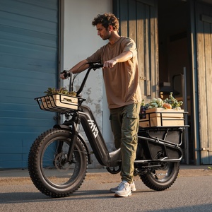 Zerogo K008 potente 500w famiglia elettrica Fat Bike 48v Cargo Ebike con coda lunga e motore posteriore per il trasporto di bambini - Product Image 1