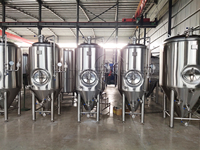 Cuve de Fermentation pour Kombucha 1000L-4000L en Acier Inoxydable 304, Fermenteur Conique avec Chemise de Refroidissement, Certifié CE