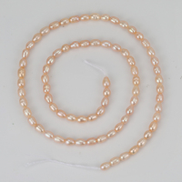 Perles de riz d'eau douce naturelles roses RINNTIN PP17, 3-4 mm, petites, pour la fabrication de bijoux, brin de 35 cm