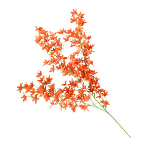 Fleurs artificielles en soie d'orchidée dansante, 30cm-100cm, rose clair et blanc, pour décorations de maison et de mariage - Product Image 2