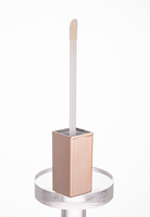 Flacon vide carré transparent en plastique de 4,5 ml personnalisé pour brillant à lèvres avec applicateur pour emballage cosmétique de maquillage des lèvres