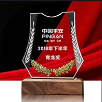 Offre Spéciale : Trophée en Verre Cristal Vierge avec Base en Bois, Gravure Personnalisée et Lettres Sculptées, Plaque Artisanale en Cristal