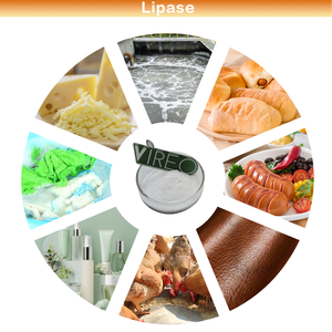 Lebensmittelqualität Lipase-Enzympulver im Sonderangebot, Hochwertiges 5.000u/g Lipase-Enzym für Backwaren, Kostenlose Probe und Schneller Versand - Product Image 3