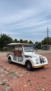 WELIFTRICH Vehículo Turístico Eléctrico de Más de 8 Plazas, 72V con Toldo - Product Image 6