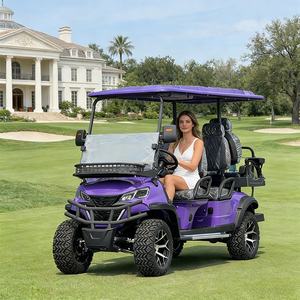 Bus touristique et voiture 4x4, voiturette de golf électrique de luxe 6 places - Product Image 5