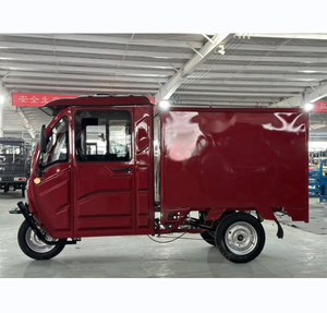 Tricycle Trike Three Wheeler 3 Wheel Bike With 2000W Motor and Delivery Closed - Product Image 5