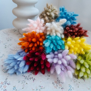 Kurzstieliges Mini Getrocknetes Hasenschwanzgras Konserviertes <span class=keywords><strong>Lagurus</strong></span> für Hochzeits-Konfetti Geschenkbox-Füller Hochzeitseinladungskarten-Deko - Product Image 3