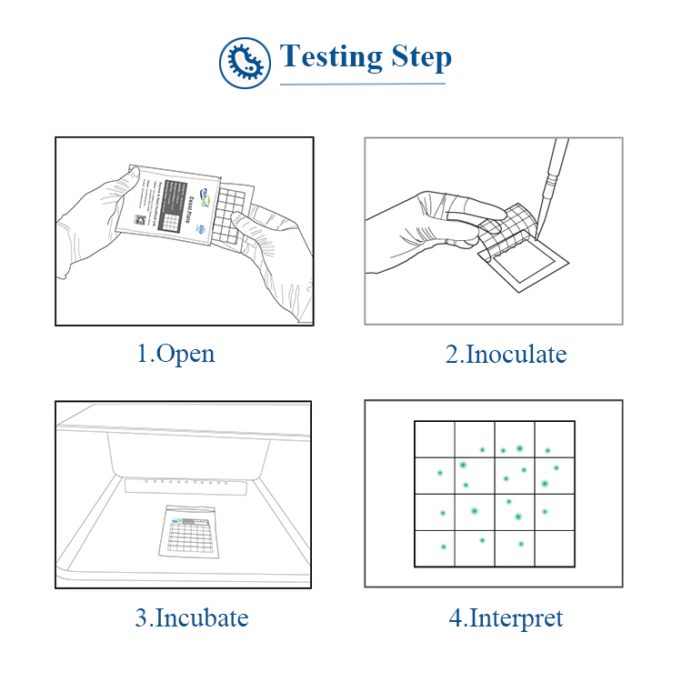 FSTest Rapid Yeast and Mold Prepared Media Plate Foodborne Pathogens Assay