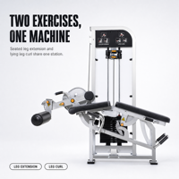Machine tout-en-un pour extensions et flexions des jambes, idéale pour les salles de sport, les clubs de fitness et la musculation à domicile, équipement d'entraînement des muscles des jambes