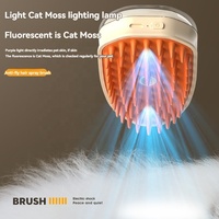 Nouvelle brosse à vapeur rechargeable 4 en 1 pour le massage des animaux de compagnie, le nettoyage, la pulvérisation d'eau, l'épilation, brosse à vapeur pour chat avec lumière