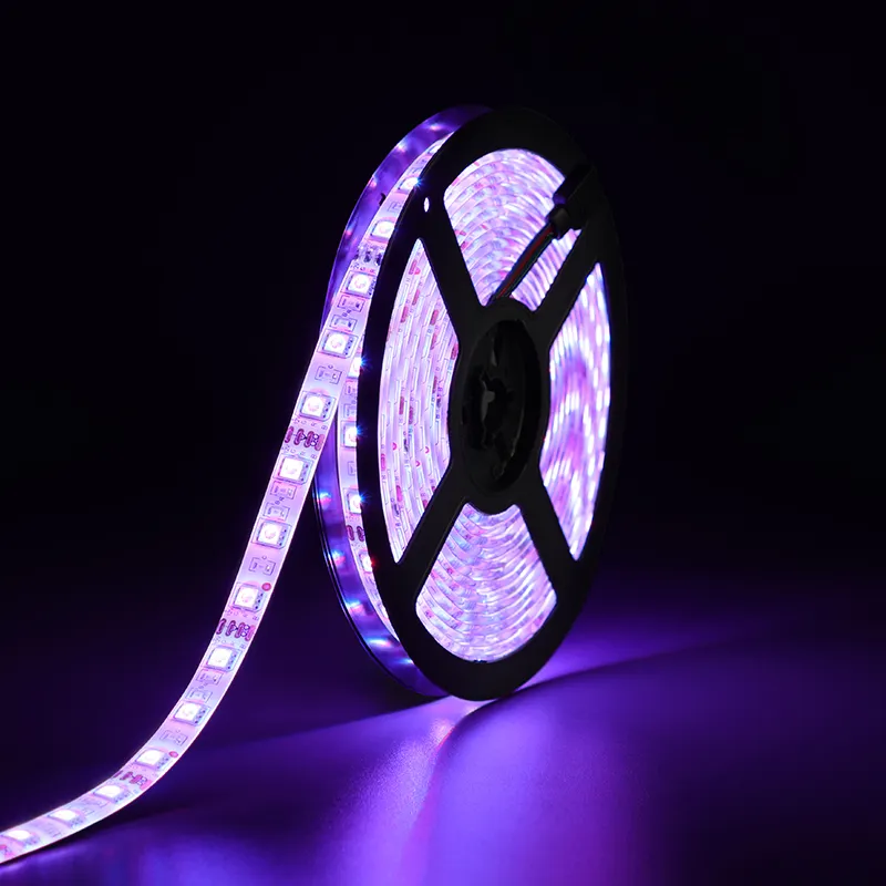 LED pixel RGB strip light 5meters/roll 12v 5050 30 60 120 waterproof double pcb holiday lighting LED night light strip