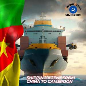Trova Fornitori e Soluzioni di Spedizione per Prodotti dalla Cina verso Camerun, Stati Uniti, Egitto e Altri Luoghi Globali - Product Image 5