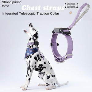 <span class=keywords><strong>2026</strong></span> NEU Nylon Integriertes Automatisches Zughemmendes Halsband für Hunde Einfarbiges Hundeleinen-Gehseil - Product Image 1