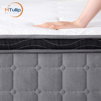 Klassisches Design Moderner Memory Foam Queen-Size-Matratze Gänsedaunen-Stoff-Taschen feder matratze