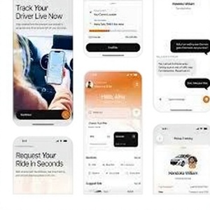 Plateforme de réservation de trajets reliant passagers et conducteurs, suivi en temps réel, multi-OS, multi-langues, estimations des tarifs, gestion des trajets - Product Image 1