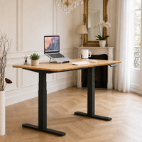 Cadre de bureau debout électrique réglable en hauteur à double moteur, 2 niveaux, en tube carré de fer durable