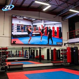 Pantalla LED Interior de Alto Brillo Ajustable P1.25 P1.87, Sin Costuras, <span class=keywords><strong>para</strong></span> Dojo de Artes Marciales, Gimnasio, Curso, Panel de Reproducción Reciclable - Product Image 1