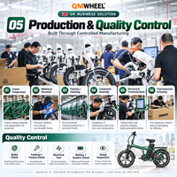 Vélo électrique pliable QMWHEEL F30 Pro 20 pouces, 250W 48V 45Ah avec porte-bagages arrière, entrepôt UK, vente en gros