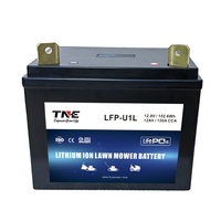 Batterie lithium-ion LiFePO4 12 V 10 Ah 15 Ah pour tondeuse à gazon et tracteur de jardin, compatible avec Crafsman John Deere, Groupe U1 9